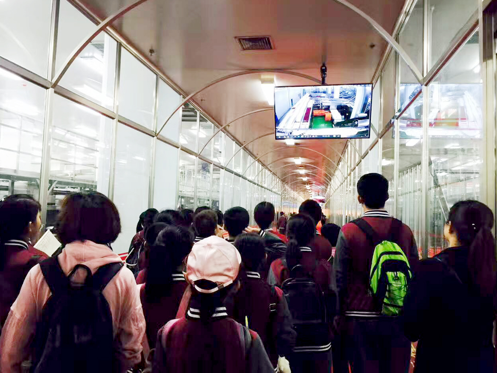 1497504694441561.jpg mmexport1497488288413.jpg