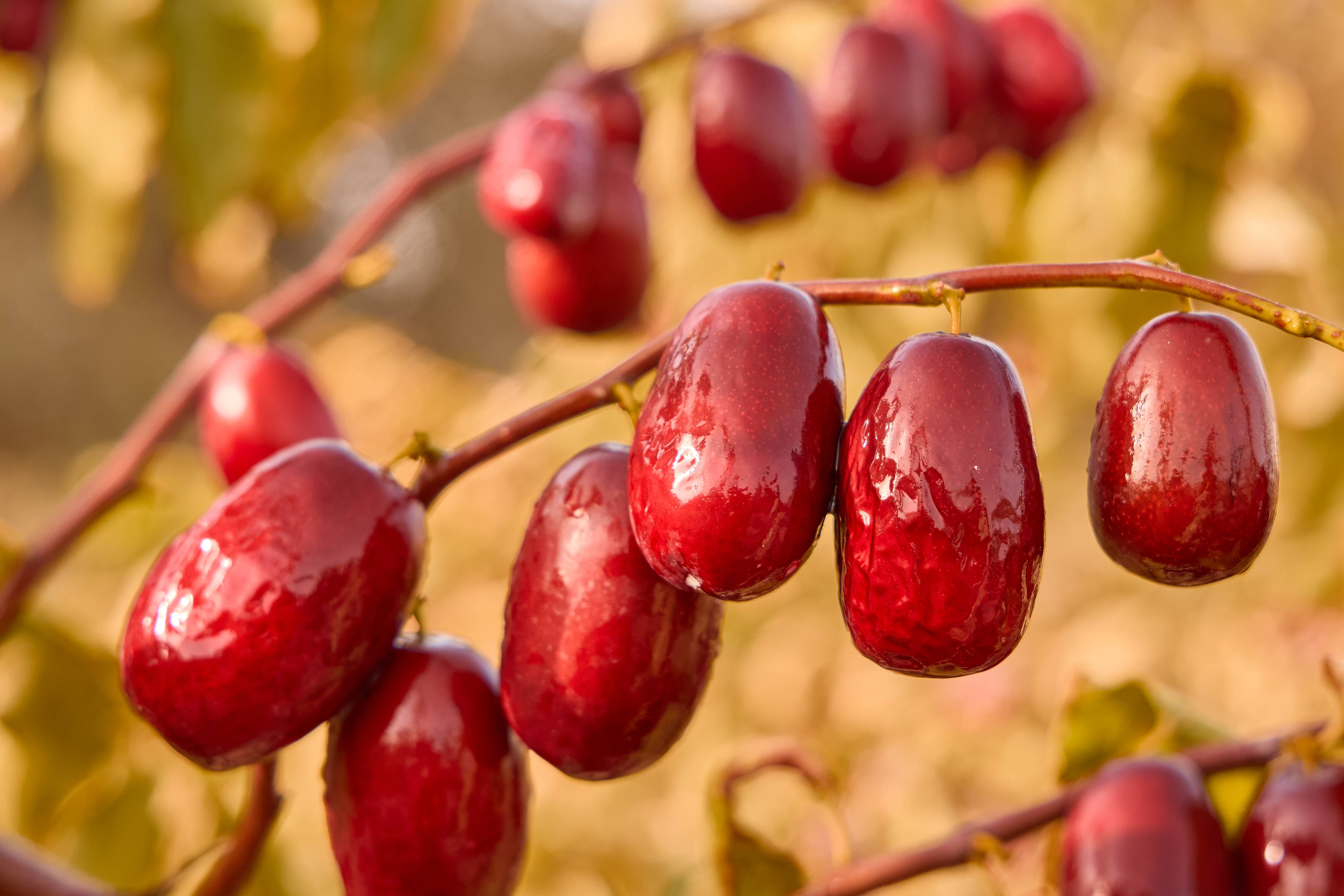 1741314995693595.jpg 微信图片_20241129161811.jpg