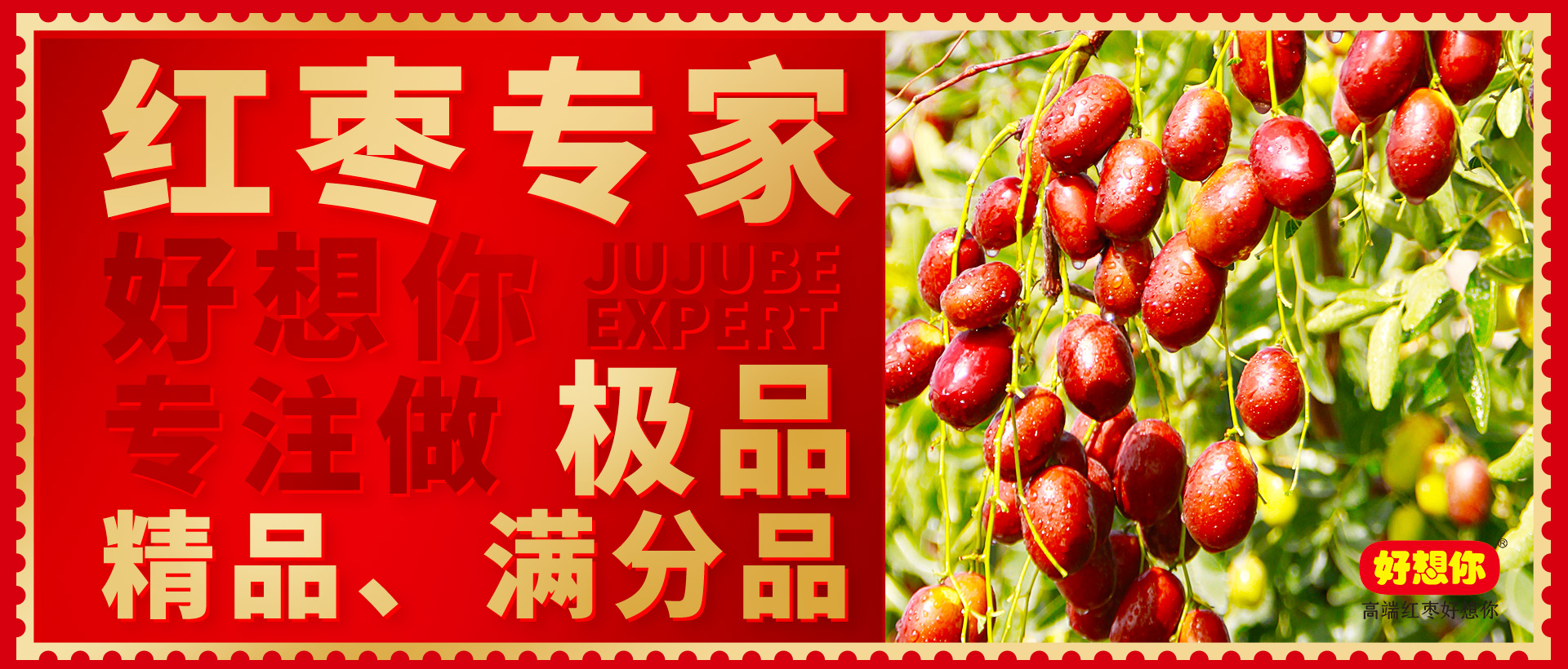 红枣专家.jpg